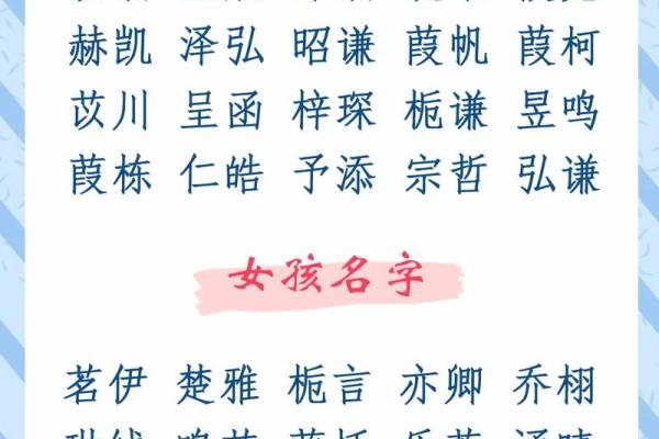 如何为你的蛇宝宝取一个独特且有意义的名字