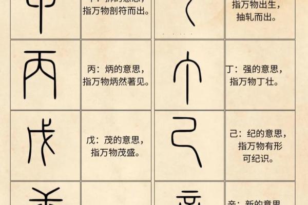 如何正确读懂十二天干地支的含义与用法