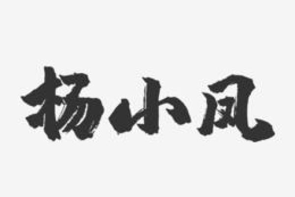 杨字命名的五种常见风格解析