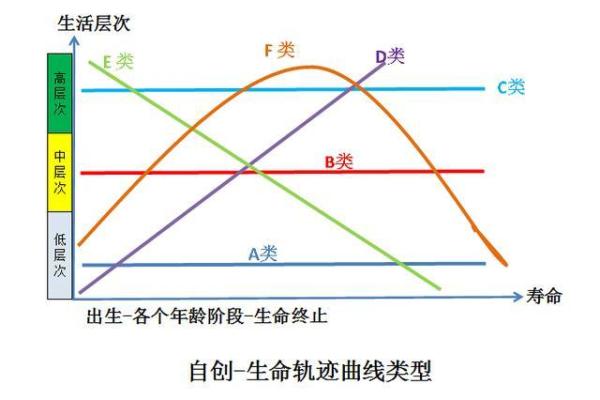 七星命理排盘解析：揭示命运轨迹的奥秘
