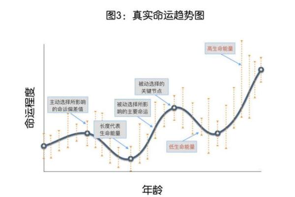 七星命理排盘解析：揭示命运轨迹的奥秘
