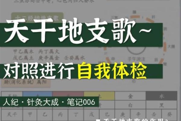 十二天干的起源与发展：探秘古代天文学与命理学的智慧
