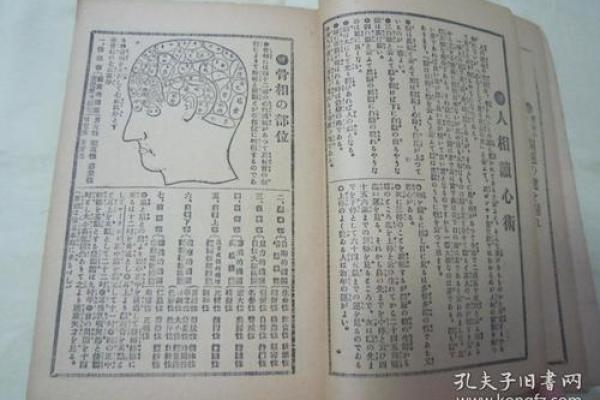 命理与诗词的结合：探索人生运势的文学表达