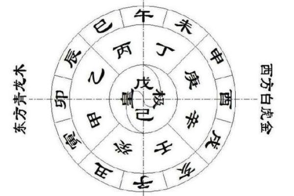 深入理解十二天干：从古代历法到现代应用的演变