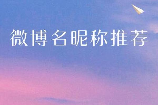 如何为你的宠物挑选一个独特又有意义的名字