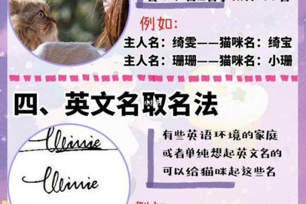 如何为你的宠物挑选一个独特又有意义的名字