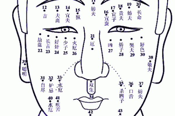 面相学揭秘：大小眼与个人性格及命运的微妙关系