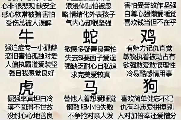 十二生肖与五行属性的关系探究与解析