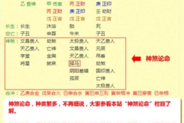 轻松体验免费命理测试，了解你的命运走向