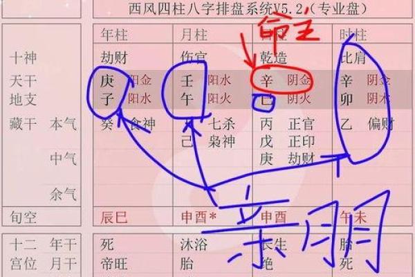 生辰八字天干地支查询技巧：快速掌握命运奥秘