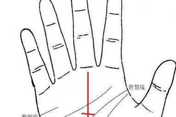 八字速配揭秘：如何通过八字匹配找到理想伴侣
