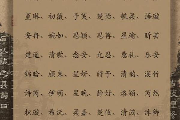 女孩名字的选择与意义解析