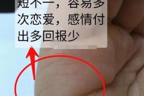 如何根据命理属性找到最适合的婚姻伴侣