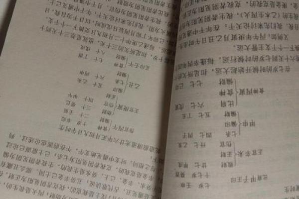 命理探源：传统命理学与现代生活的完美融合
