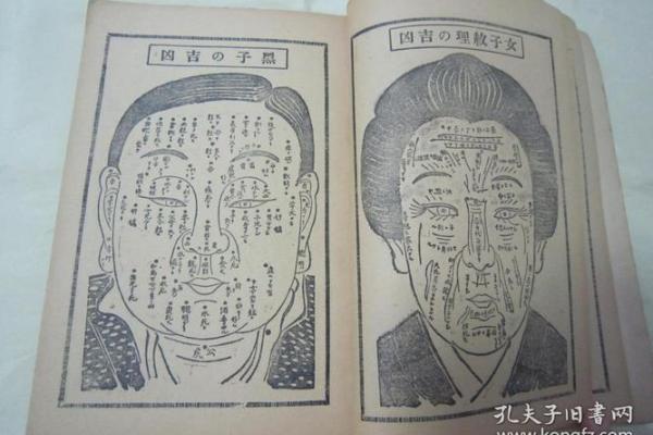 命理学与个人命运的深度关联探讨
