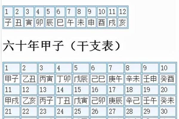 如何准确读懂天干地支的每个字