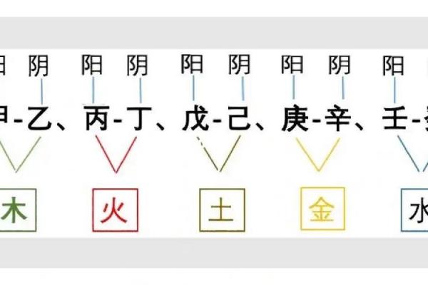 十天干阴阳关系解析：探索五行与天干的相互作用