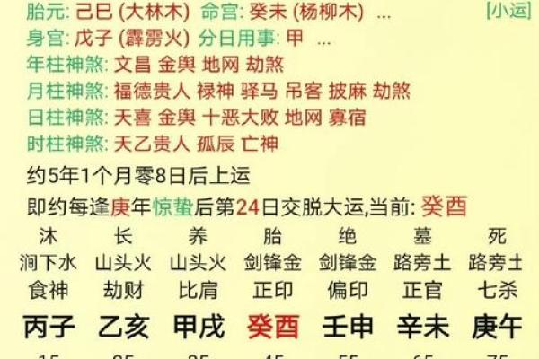 深度分析生辰八字：一生命运与运势变动全解