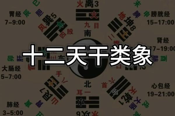 四柱天干与命理解析：揭示个人命运的奥秘