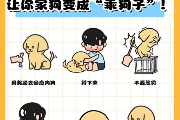 给宠物取名字的五个实用技巧