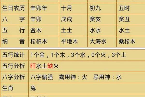 探讨五行在命理中的深远影响