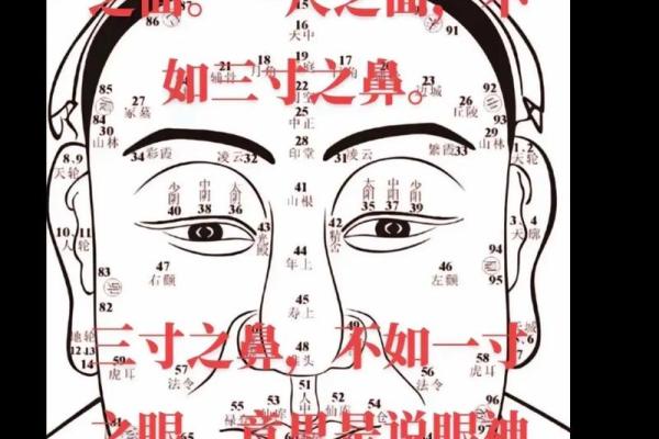 八字相冲对命运的影响与化解方法分析