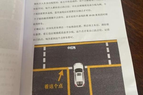 命理考试考前冲刺：复习重点与注意事项