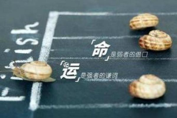 命理旨归与个体命运的关系解析