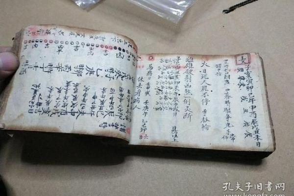 命理旨归与个体命运的关系解析