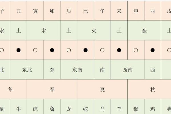 十二地支与五行的深度解析及其相互关系