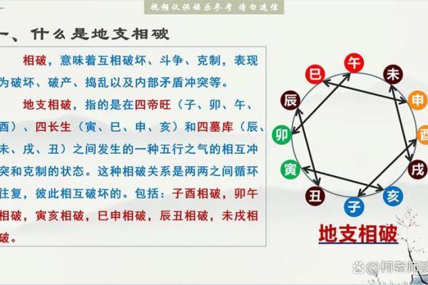 十二地支与五行的深度解析及其相互关系