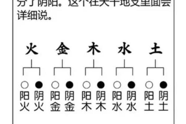 八字五行对照表解析与运用技巧