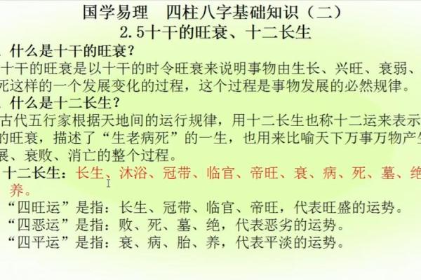 八字基础知识入门：理解四柱命理的核心要素