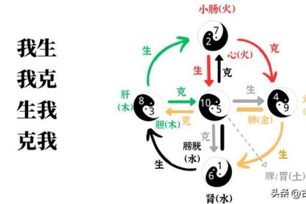 通过出生时辰五行解析，揭示个性与命运的深层关系