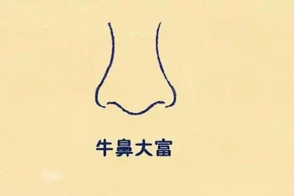 牛鼻面相如何影响一个人的事业运和财运