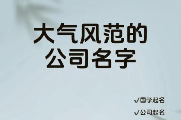 起名网公司助力企业与个人打造独特品牌名称