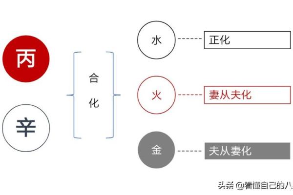 八字水多的女人职场与家庭运势的平衡技巧