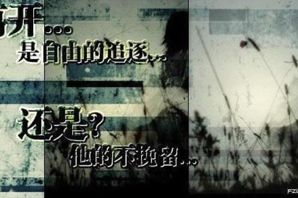 从非主流名字看年轻人对个性化的追求