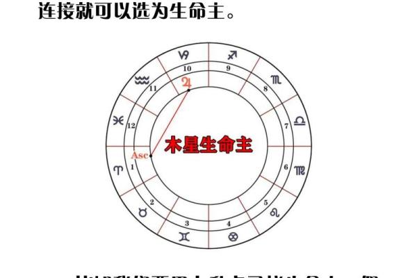 命理精华揭秘：如何通过命理调整人生方向