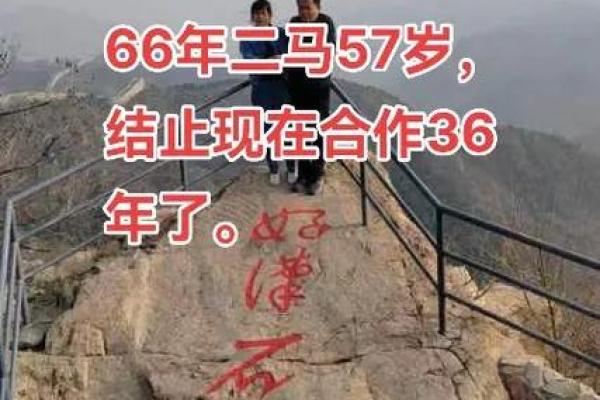 如何利用免费软件测算生辰八字，掌握未来走向