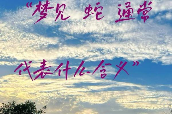 晚上做梦梦到蛇的深层意义与解读