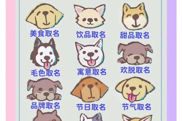 创意狗狗名字：如何为你的宠物命名