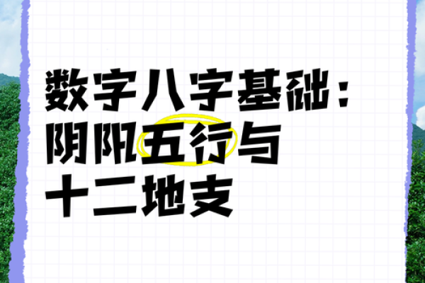 深入探讨十二地支的阴阳属性及其影响