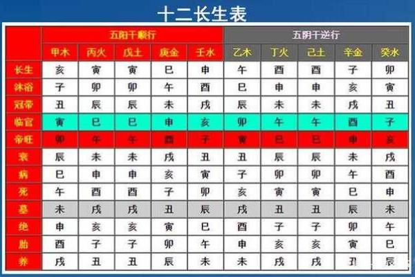 深入探讨十二地支的阴阳属性及其影响