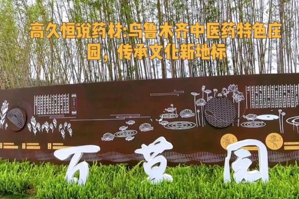 中药命名的艺术与文化传承