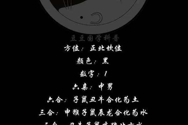 十二地支在中国传统文化中的重要角色