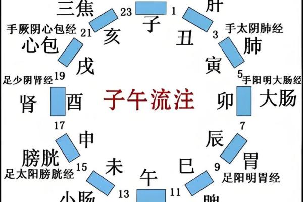 十二地支在中国传统文化中的重要角色
