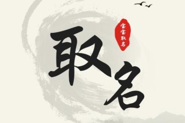 探索美腾起名网 免费命名助力事业腾飞