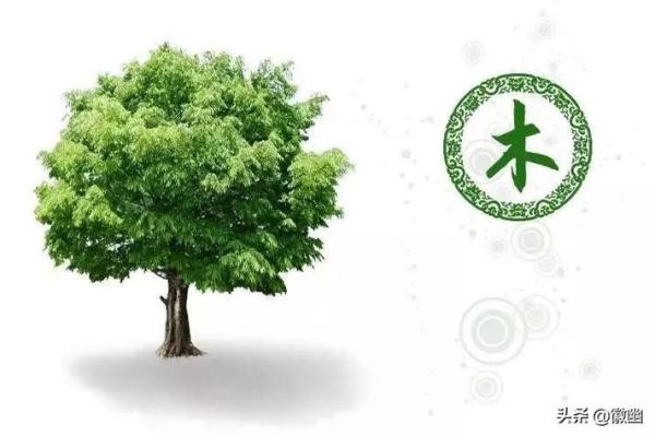探索瑞五行属性：揭开五行与命运的神秘面纱