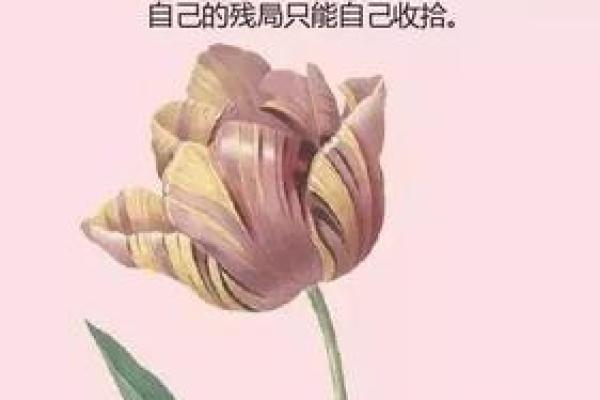 命理乾坤的智慧：如何运用天命掌握人生轨迹